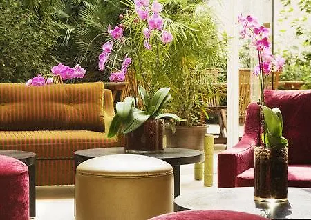 Orchidee Paris