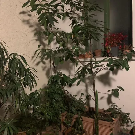 Δωμάτια σε οικογενειακή κατοικία Maison Boinod