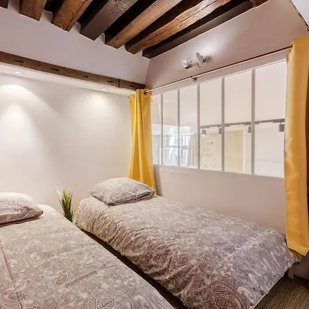 Loft Lumineux Authentique Paris