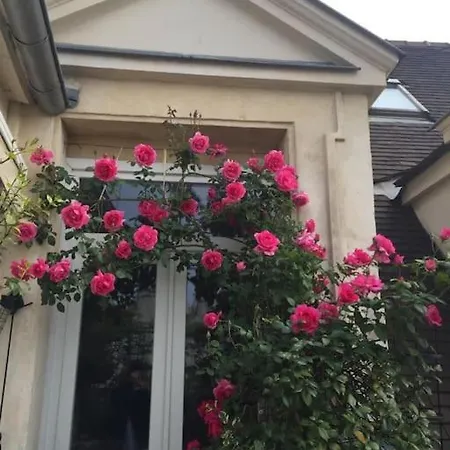 Joli Cocon Avec Terrasse Dans Le Marais Apartment *
