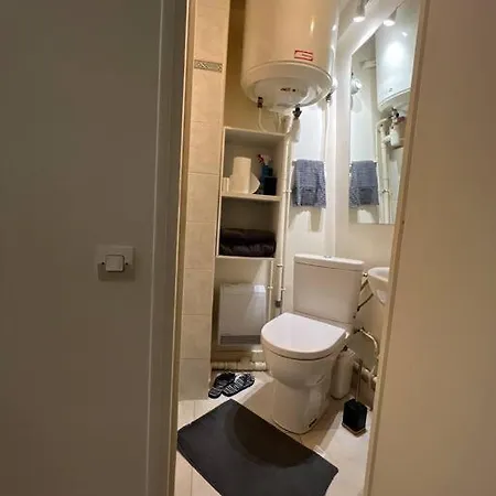 Studio Vue Tour Eiffel Appartement
