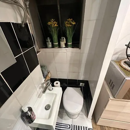 Apartamento Magnifique Studette 15eme París