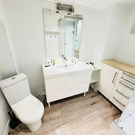 Great Flat In Center Of * 巴黎