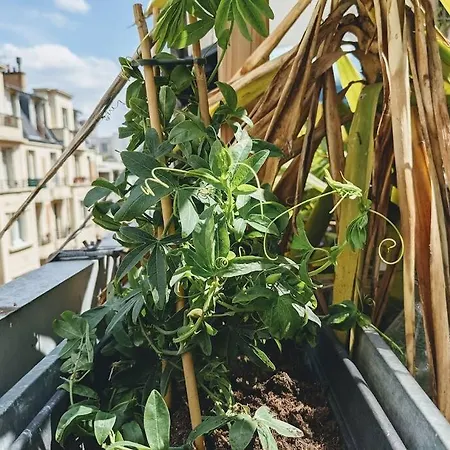Apartment La Colonie // Cosy - Terrasse - Butte Aux Cailles *