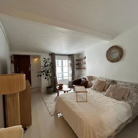 Grand Studio Entierement Renove Au Coeur De Appartement Paris