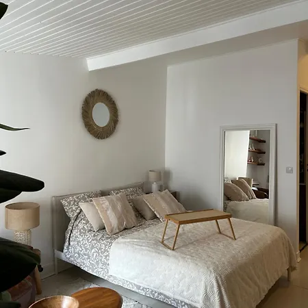 Appartement Grand Studio Entierement Renove Au Coeur De *