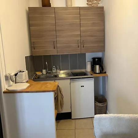 Grand Studio Entierement Renove Au Coeur De Appartement *