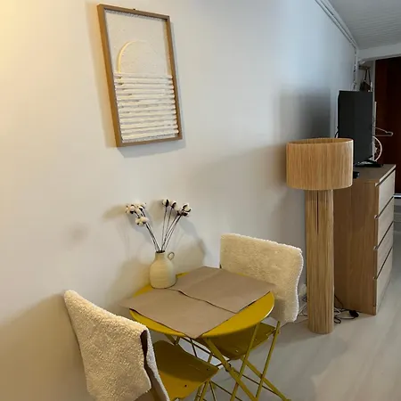 Grand Studio Entierement Renove Au Coeur De Appartement