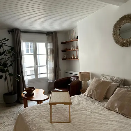 Grand Studio Entierement Renove Au Coeur De Appartement Paris