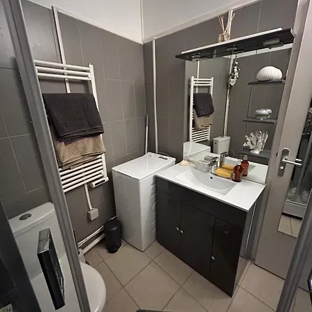 Appartement Grand Studio Entierement Renove Au Coeur De