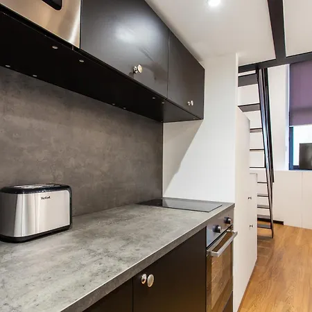 Apartment Luxury Loft In