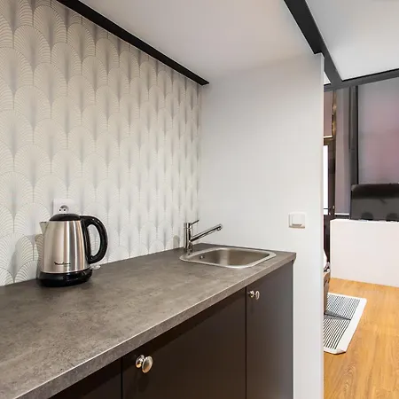 Luxury Loft In *