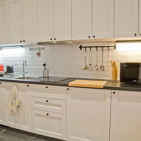 Fully Renovated Historic In Heart Mouffetard Appartement Parijs