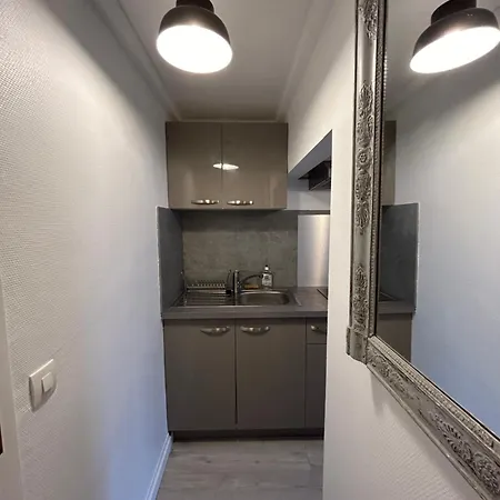 Apartment De Charme Donnant Sur Jardin Arbore Dans Le Calme Absolu Paris