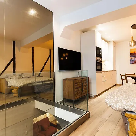 Loft 1 Bedroom Marais, Notre Dame Ac By Lcc Agency Apartment *