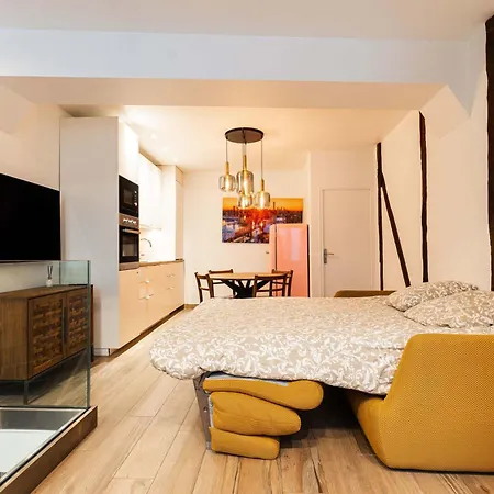 Loft 1 Bedroom Marais, Notre Dame Ac By Lcc Agency Apartment Paris