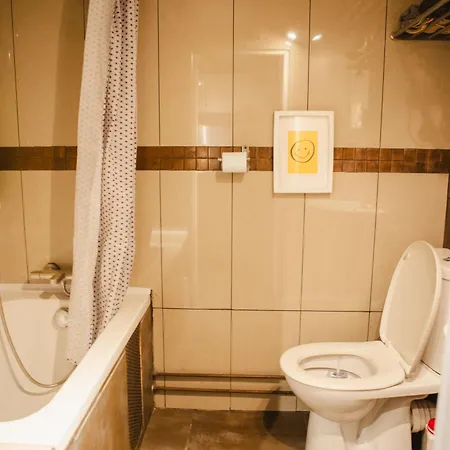 Quartier Belleville 20m2 Avec Mezzanine Paris