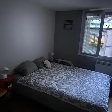 Parislouvresamaritainecharme Appartement