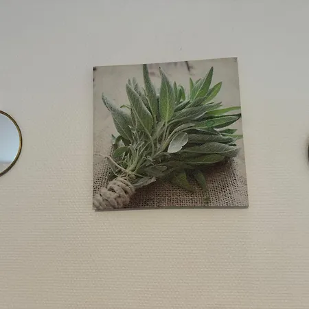 Studio Miromesnil Paris