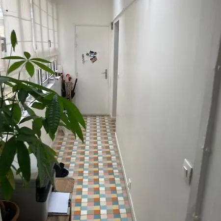 Large Flat In Montmartre With Terrace Appartement Parijs