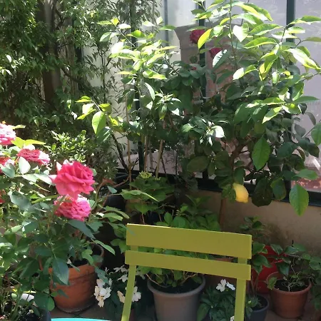 Large Flat In Montmartre With Terrace Appartement *