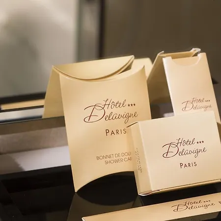 Hotel Delavigne Paris