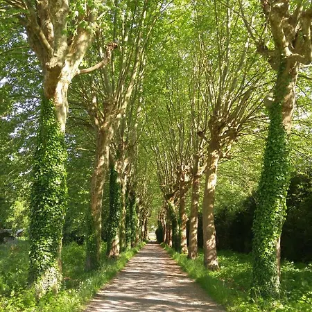 Domaine De Bramefaon Barbizon