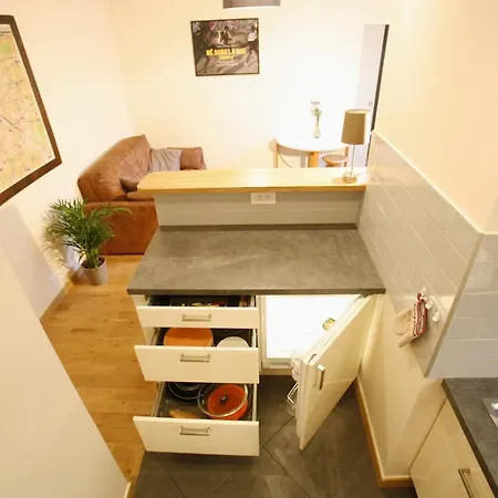 Charmante Sante Apartment Paris