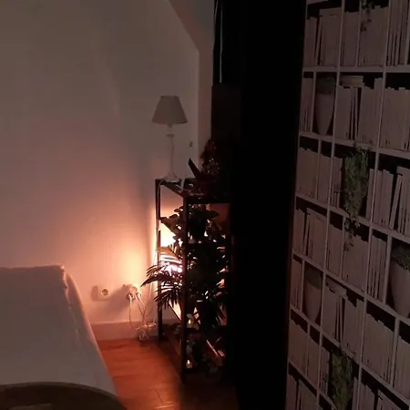 Cosy *