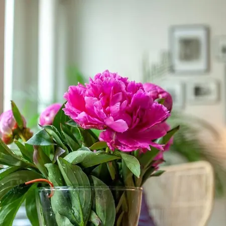 Greeter-bel Parisien De 70m2 - St Lazare Apartamento