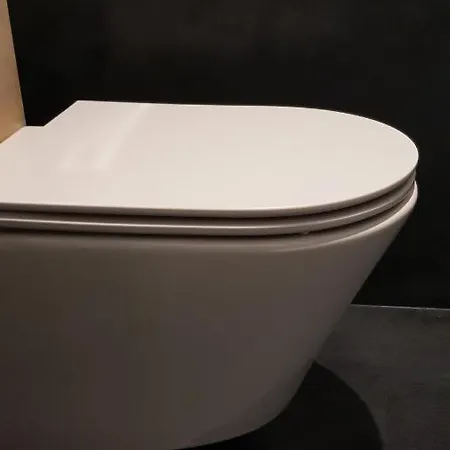 ホームステイ On