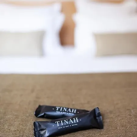 Tinah Paris, Champs Elysées Hotel París