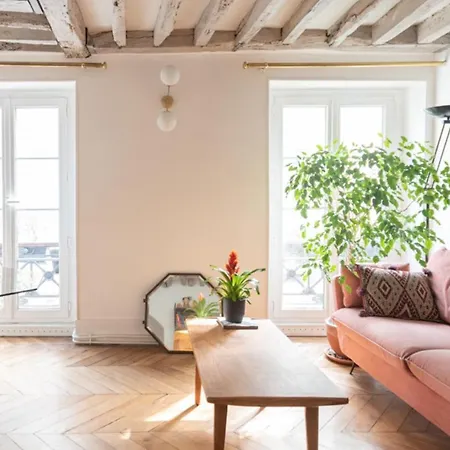 Splendid Flat Near The Marais Apartment