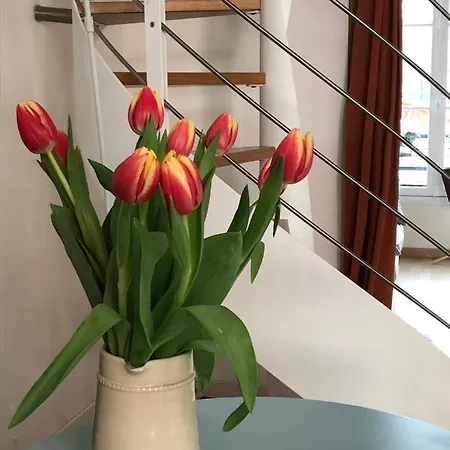 Apartamento Petit Lumineux Et Atypique
