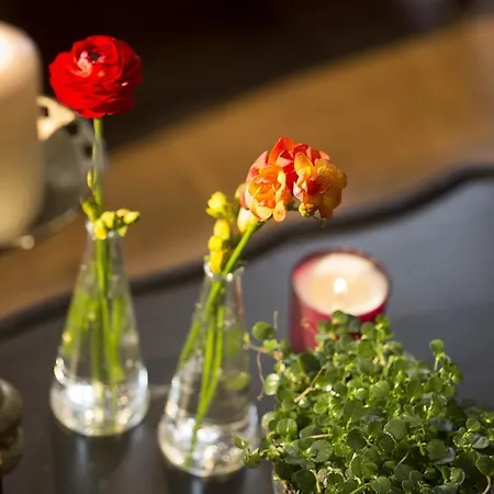 Le Petit Chomel Hotel Paris