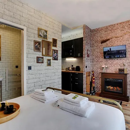 Appartement Cmg Harry Potter Themed Studio In Paris !