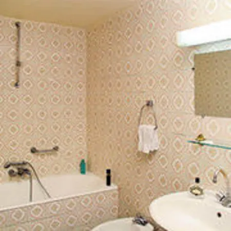 Camelia International Hotel 2*