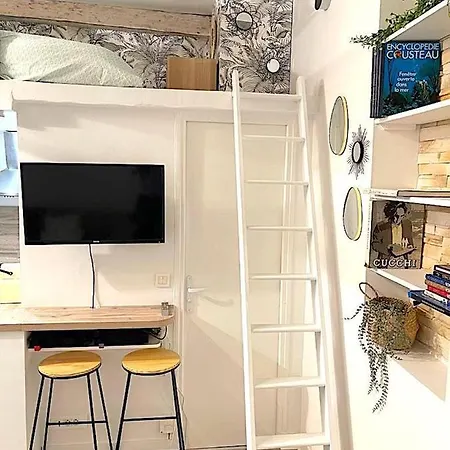 Loft Augustins Apartment Paris