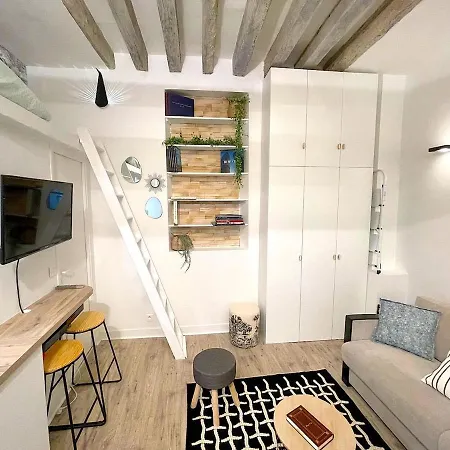 Loft Du Quai Des Grands Augustins Apartment Paris