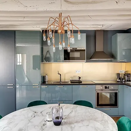 Beautiful With A Terrace In Le Marais