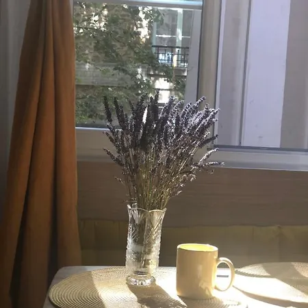 Quartier D'emily In Apartment Paris