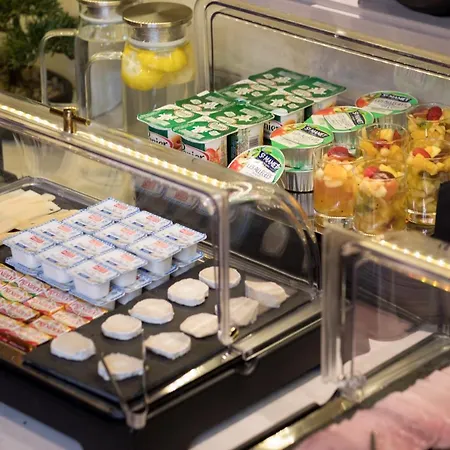 阿尔贝特王子里昂贝西酒店 酒店 3*