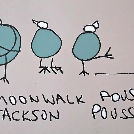 Des 3 Poussins Hotel 3*