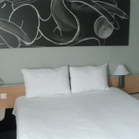 Ibis Daumesnil Porte Doree Hotel Paris