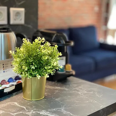 Beautiful Mini Loft Near Saint-lazare Appart hôtel Paris