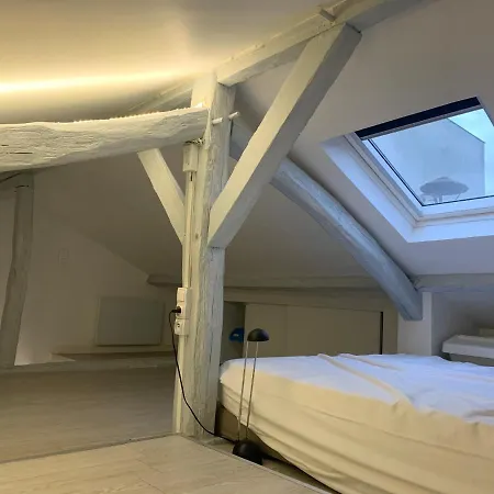 Apartment Type Loft
