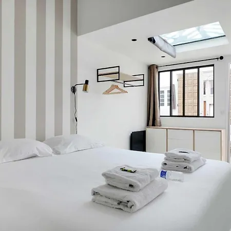 Magnificent Refurbished Loft In Next To Expo Porte De Versailles Apartment Paris