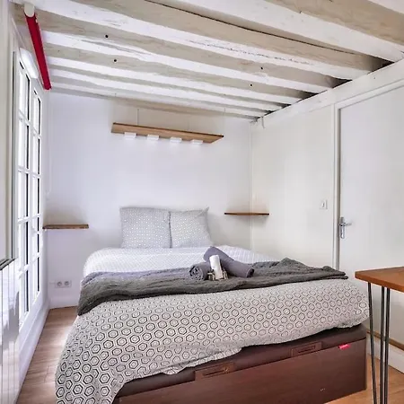 Superb 2 Bedroom Flat In Le Marais Neighborhood Apartment Paris