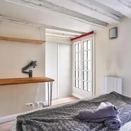 Superb 2 Bedroom Flat In Le Marais Neighborhood * Paris