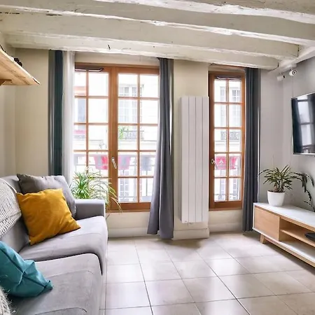 Superb 2 Bedroom Flat In Le Marais Neighborhood *